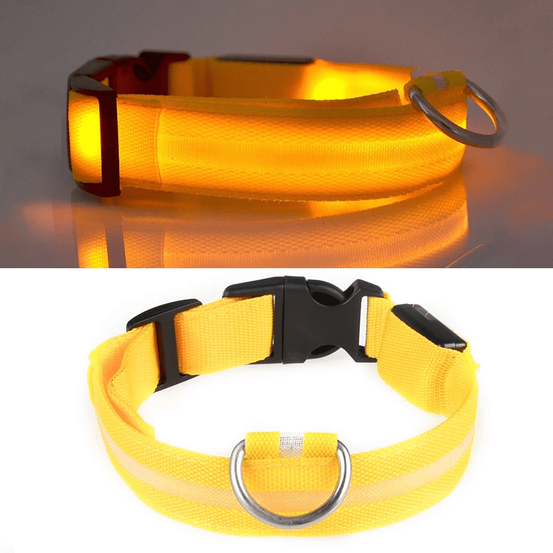Pawzioo™ High-Brightness LED Dog Collar – Durable & Rechargeable